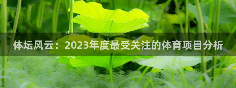 top1体育：体坛风云：2023年度最受关注的体育项目分析