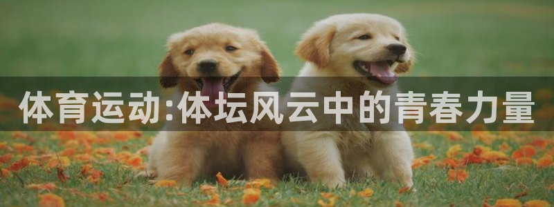 TOP1体育app电子游戏：体育运动:体坛风云中的青春力量