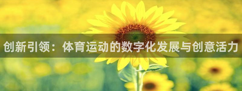 top1体育pg：创新引领：体育运动的数字化发展与创意活力