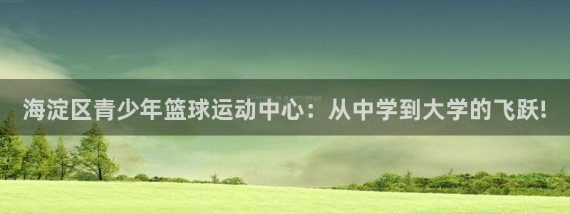 top1体育app下载入口：海淀区青少年篮球运动中心：从中学到大学的飞跃!