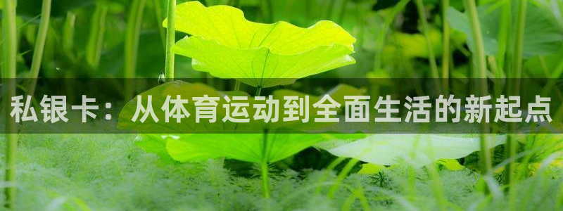 top1体育链接：私银卡：从体育运动到全面生活的新起点