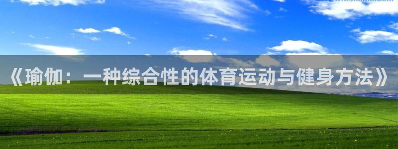top1体育国际：《瑜伽：一种综合性的体育运动与健身方法》