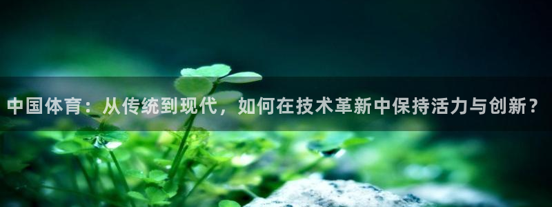 Top1体育官网：中国体育：从传统到现代，如何在技术革新中保持活力与创新？